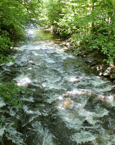 Urlaub im Haus Willmann in Zarten im Schwarzwald